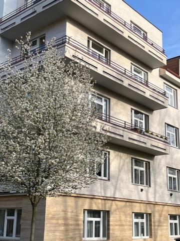 Apartmá v srdci Poděbrad Poděbrady Esterno foto